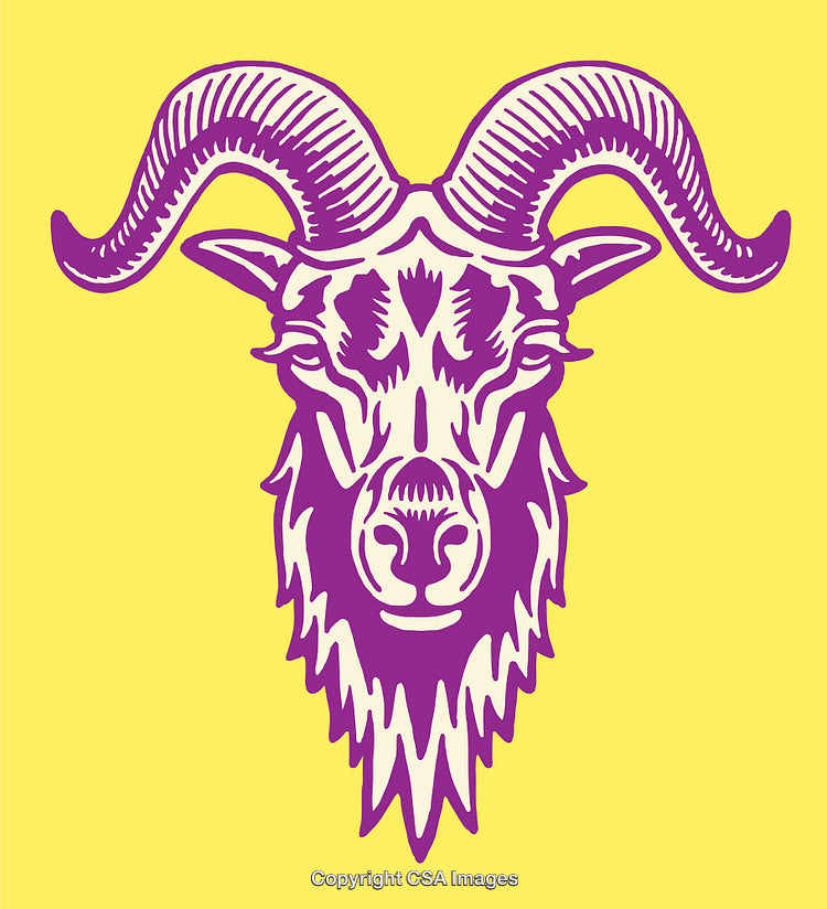 Colorful Line Art Illustration of a Goat Head With Horns