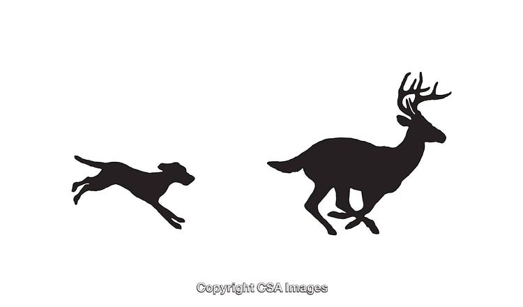 Silhouette of a Dog Chasing a Running Deer in Black and White