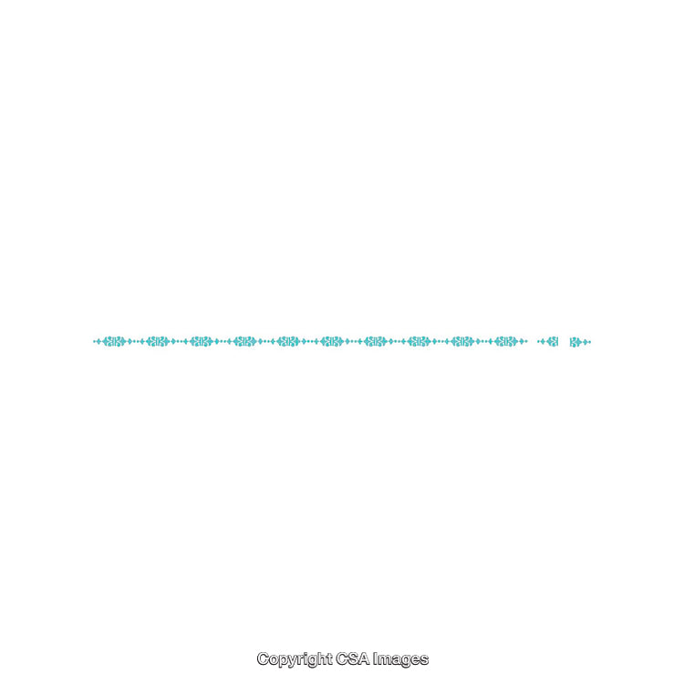 Horizontal Decorative Border With Blue Ethnic Style Elements on White Background