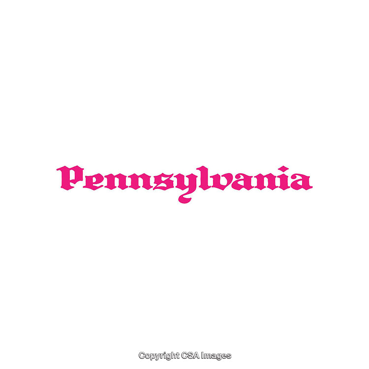 Bright Pink Pennsylvania Text in Decorative Font on White Background