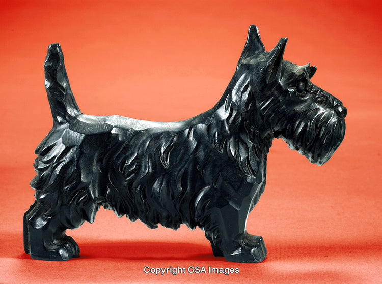 Black Scottish Terrier Figurine on Vibrant Red Background