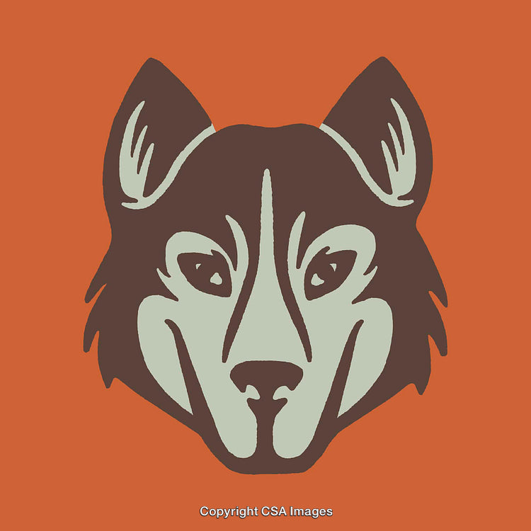 Bold Line Art Illustration of a Husky Dog Face on Orange Background