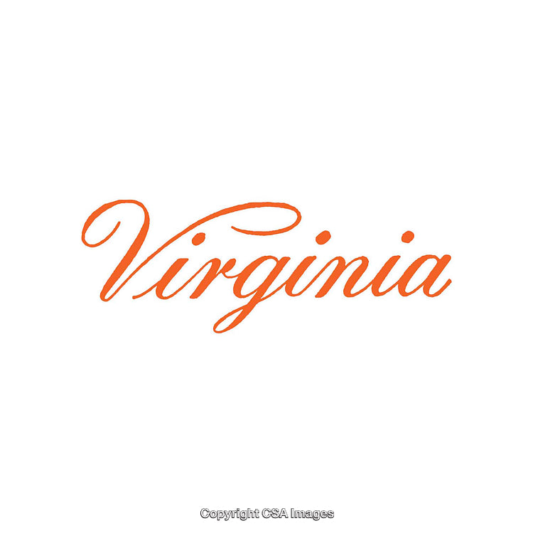 Elegant Custom Typography Featuring the Word Virginia in Bold Orange Script