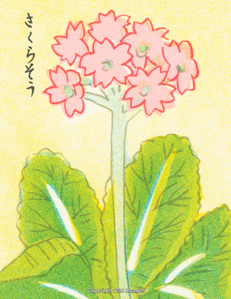Vintage Illustration of Charming Delicate Flower Blossoms and Leaves