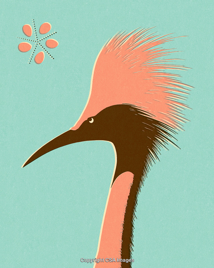 Stylized Portrait Artwork of a Bird with Unique Graphic Illustration