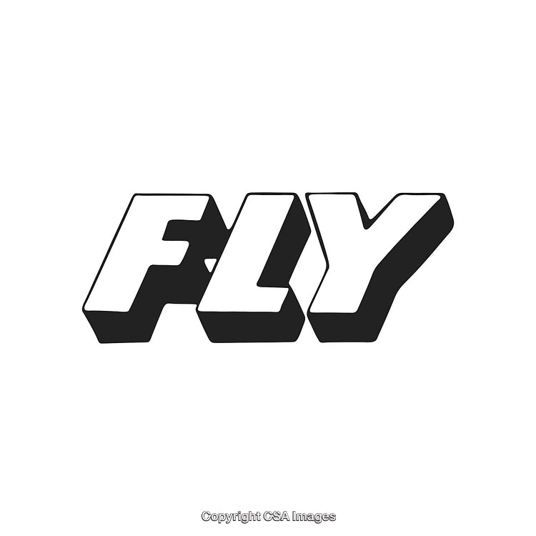 Bold Black and White Fly Text in 3D Typography Style