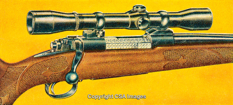 High-Resolution Image of a Hunting Rifle With a Mounted Scope