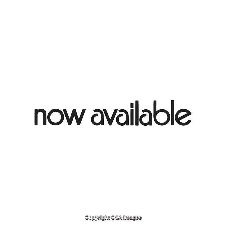 Now Available Text on White Background in Bold Modern Font