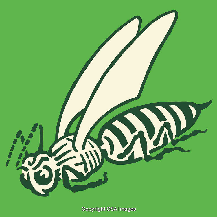 Stylized Line Art Illustration of a Bee on Green Background