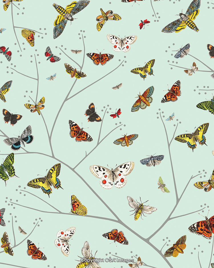 Butterflies