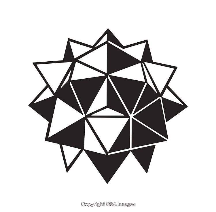 Geometric Black and White Polygonal Star Design Illustration