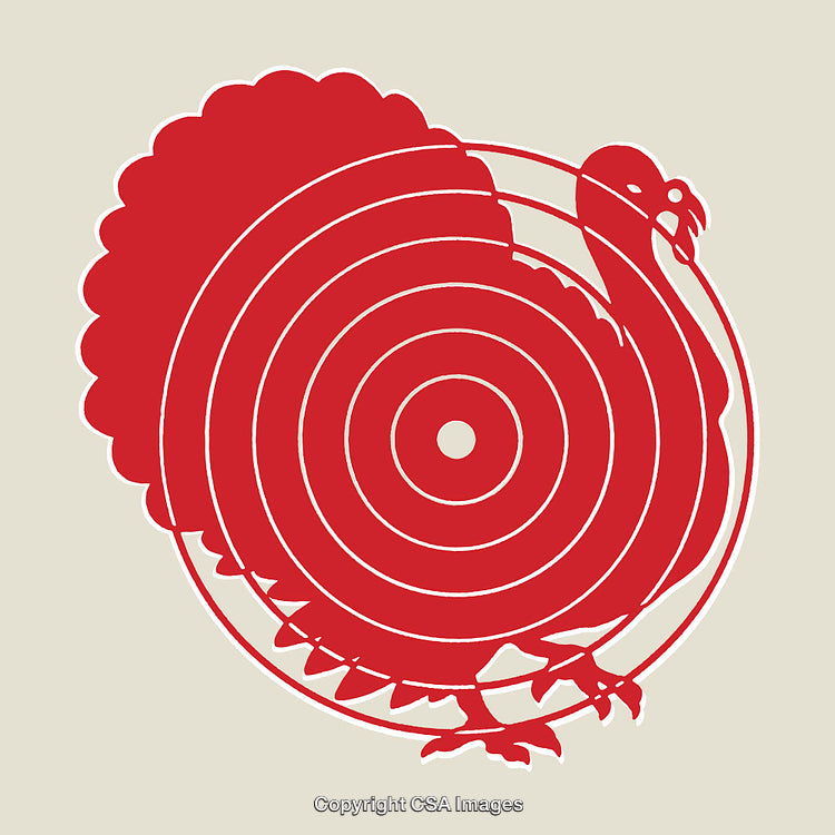 Abstract Line Art Turkey Illustration with Circular Target Design