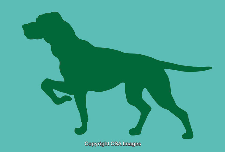 Silhouette of a Pawing Dog Design with a Green Background