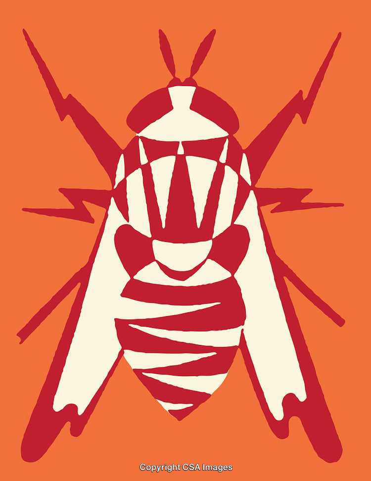 Colorful Stylized Insect Illustration with Abstract Geometric Design