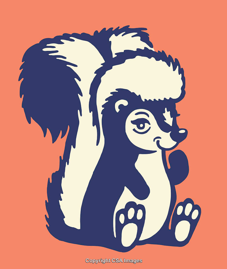 Colorful Line Art Illustration of a Playful Cartoon Skunk