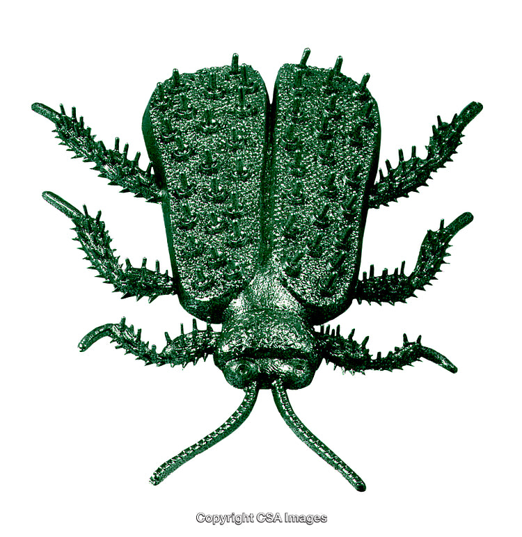 Close-Up of a Detailed Green Insect Toy with Textured Surface