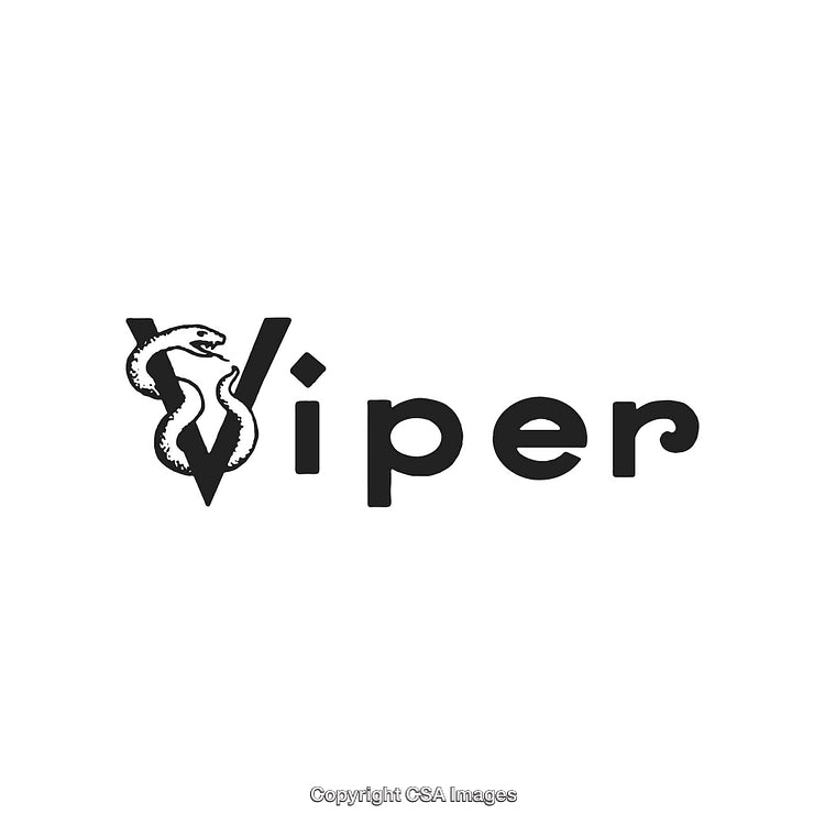 Modern Text-Based Logo Featuring Snake-Themed Viper Design on White Background