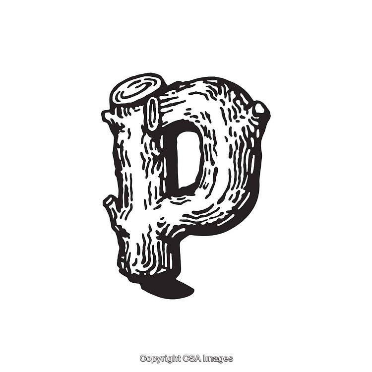 Rustic Wood Textured Letter P in Black and White