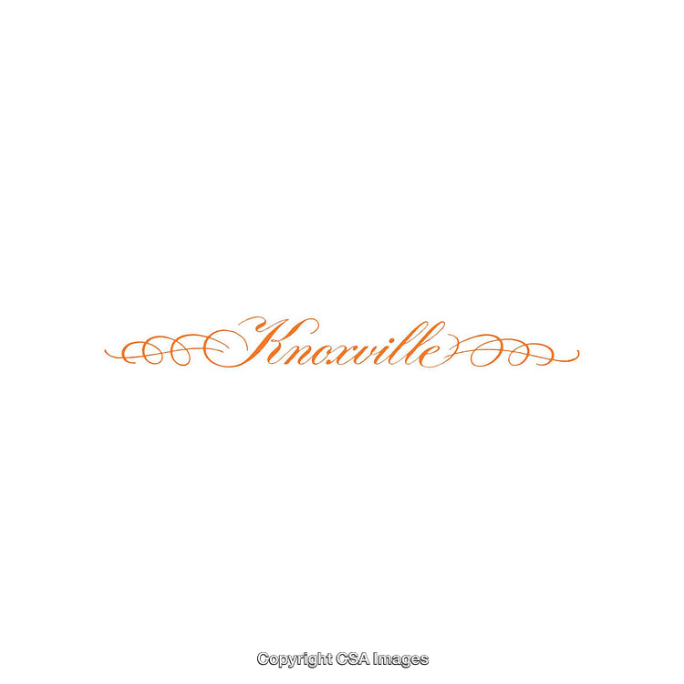 Elegant Knoxville Script Lettering with Decorative Flourishes on White