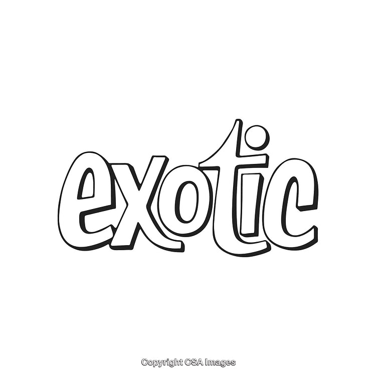 Hand-Drawn 'Exotic' Word Art with Stylish Lettering Design