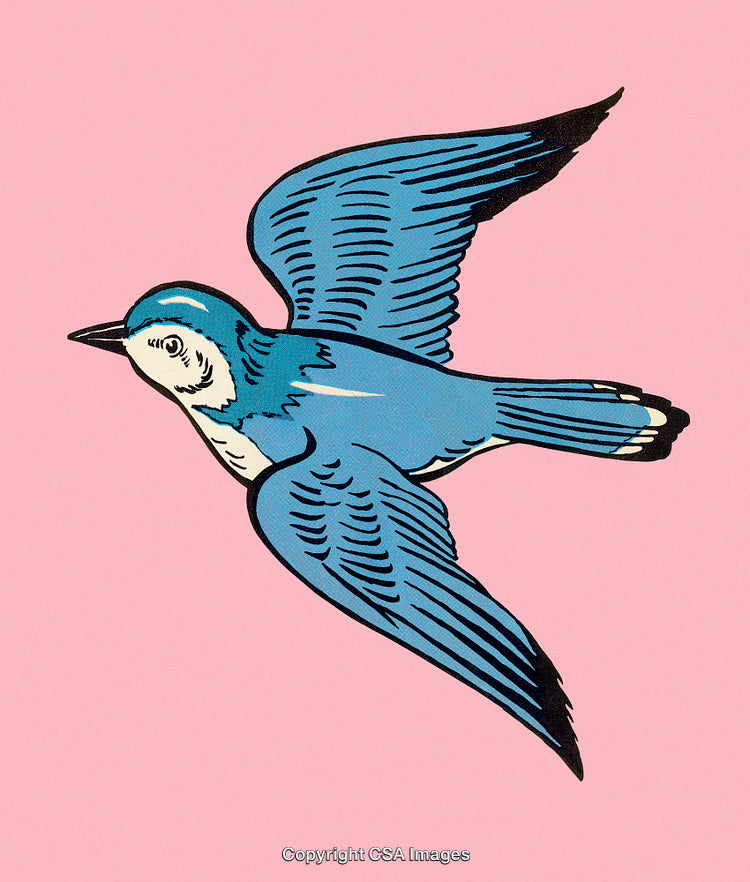 Vibrant Blue Bird Illustration on a Pink Background in Retro Style