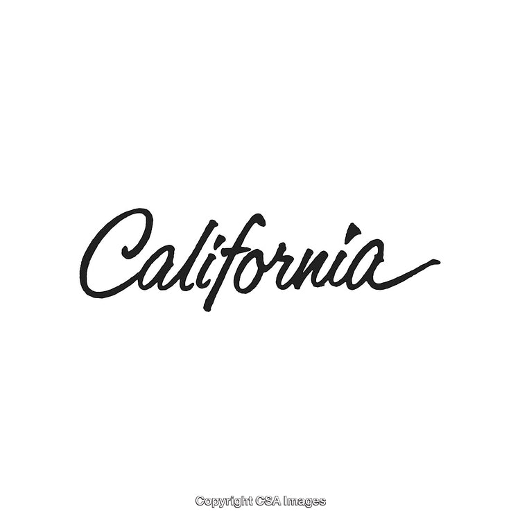 California Calligraphy Text on White Background in Elegant Black Script Style