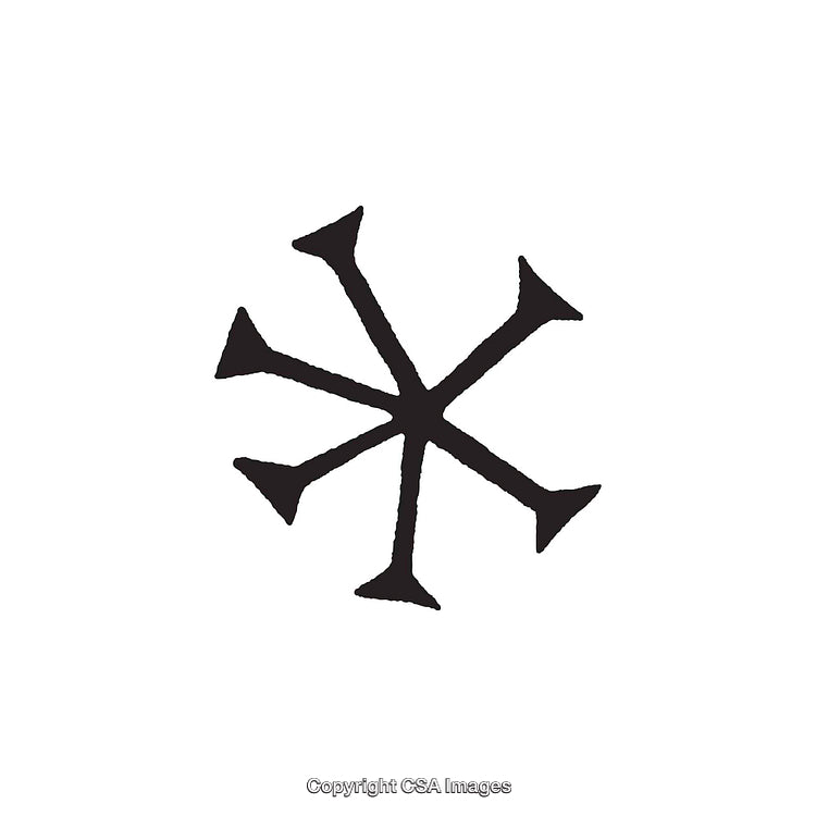Black and White Abstract Star-Shaped Dingbat Symbol Design