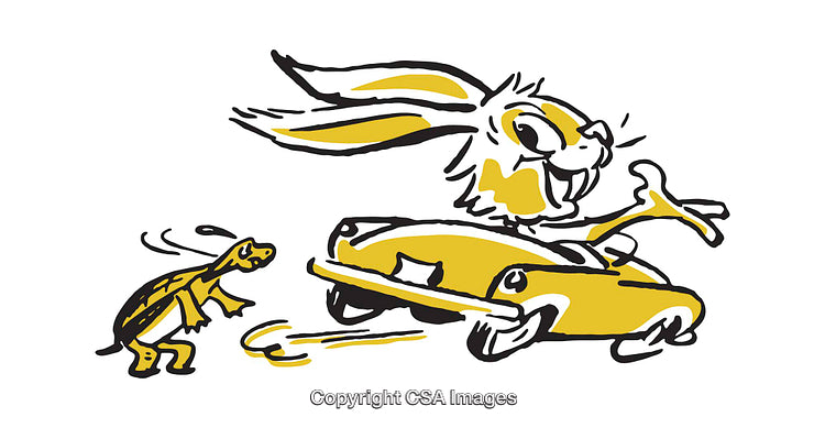 Illustration of a Racing Hare and a Chasing Turtle in Motion