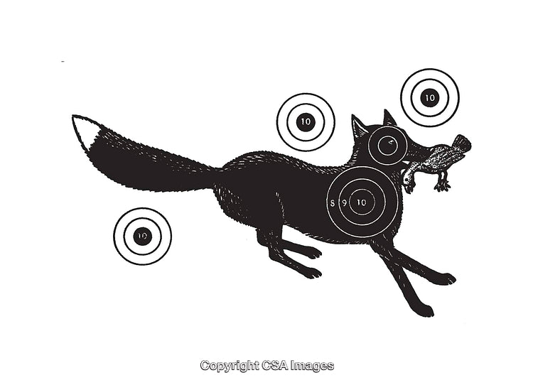 Black and White Illustration of a Fox with Hunting Targets