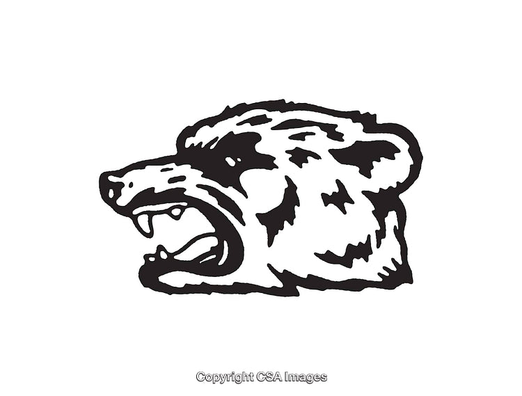 Detailed Black and White Illustration of A Bear Head Line Art