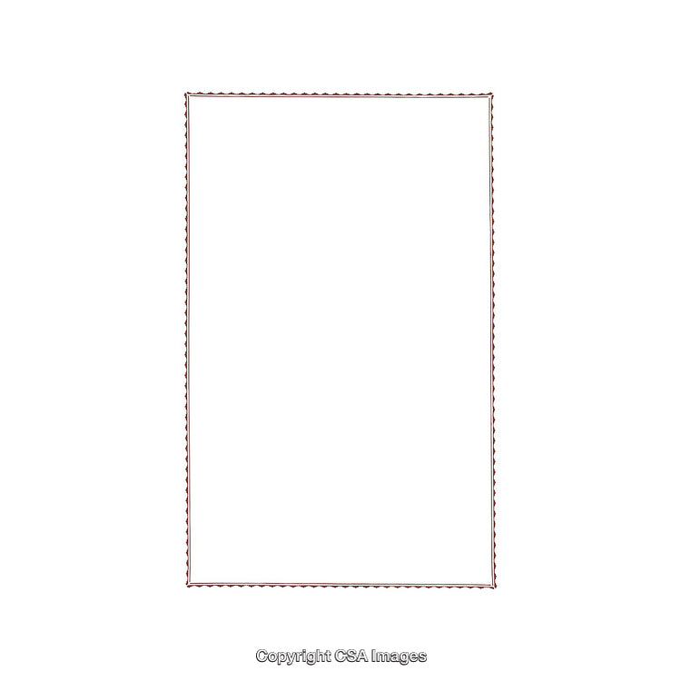 Minimalistic Rectangular Photo Frame with Braided Borders on White Background