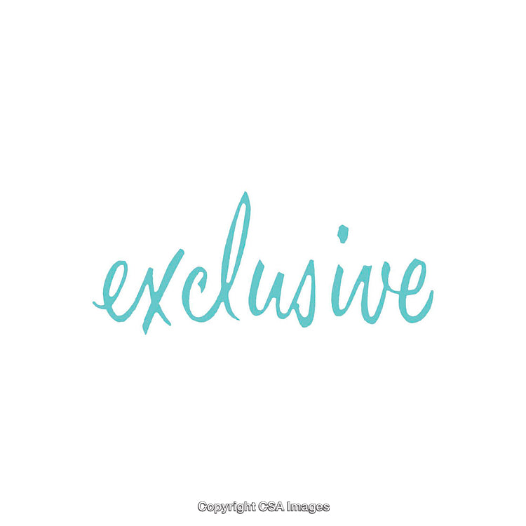 Exclusive Word Art Design in Stylish Handwritten Calligraphy