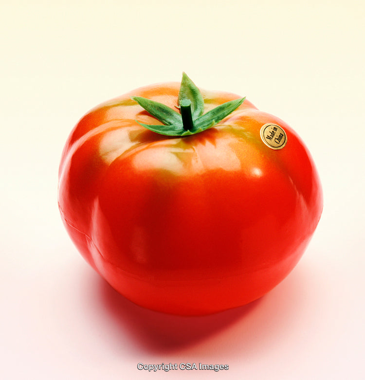 Vibrant Red Plastic Tomato with Label Details on Plain Background