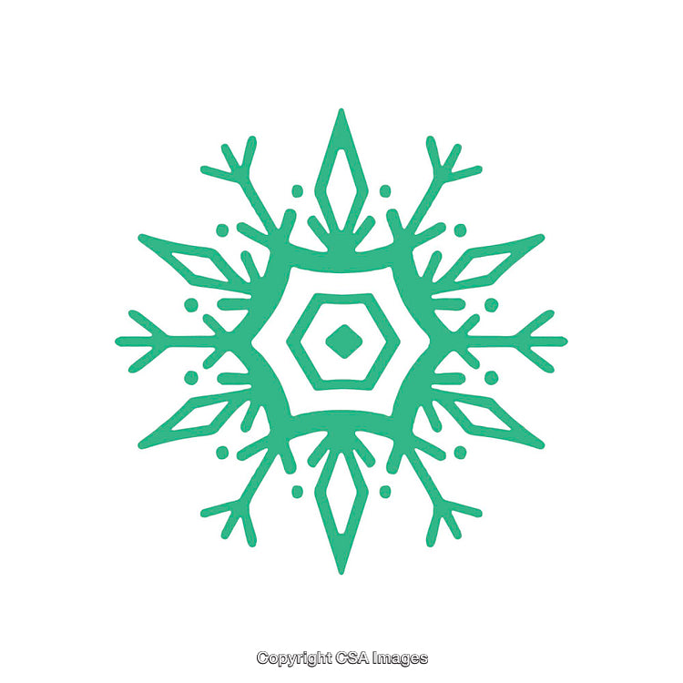 Green Snowflake Shape Design in Abstract Symmetrical Form