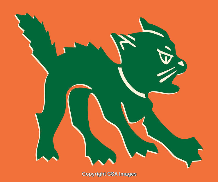 Stylized Green Cat Illustration on Orange Background in Retro Design