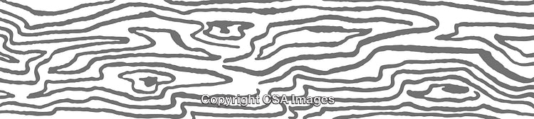 Gray and White Abstract Line Pattern Background with Organic Shapes