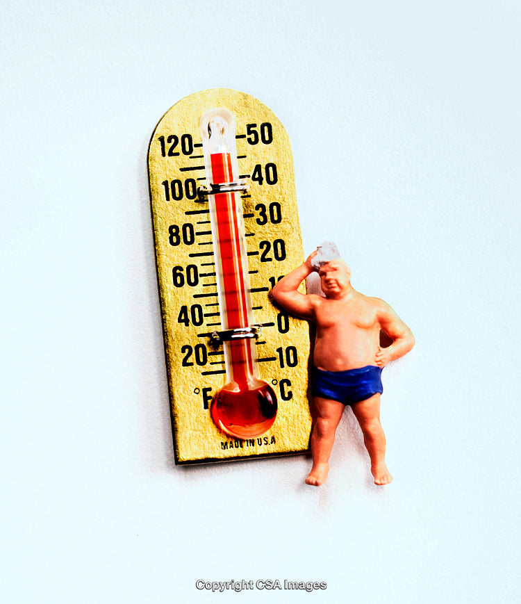 Vintage Plastic Toy Depicting Heat Interaction Next to a Thermometer