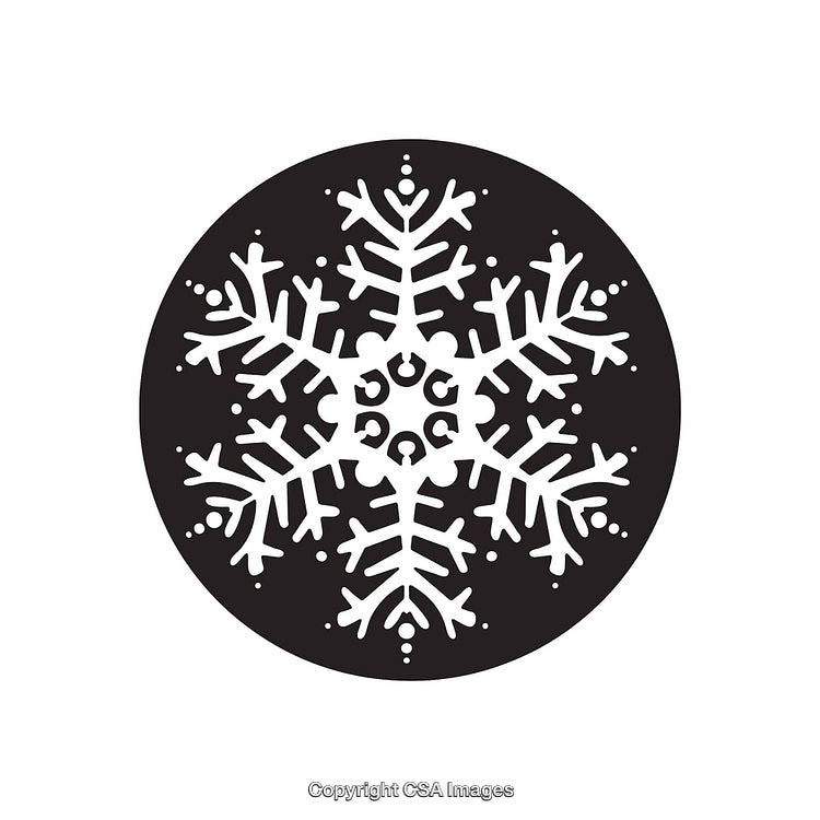 Black and White Snowflake Silhouette in Circular Design