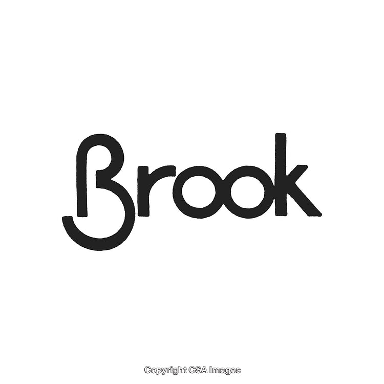 Stylish Black and White Logo Design Featuring the Word 'Brook'