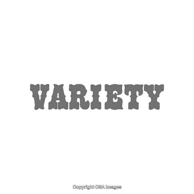 Bold Gray Text Displaying the Word Variety on a White Background
