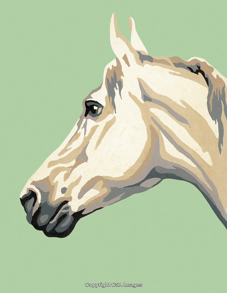 Illustration of a Horse's Profile Styled in Paint by Numbers