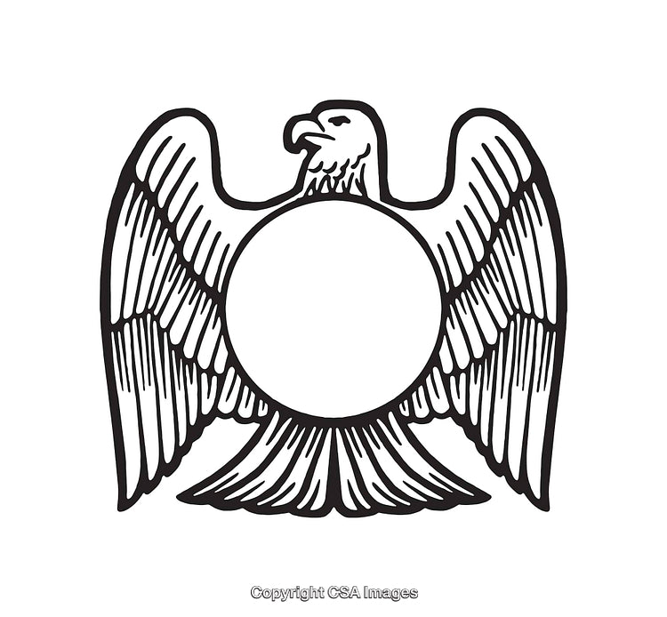 Black And White Eagle Line Art Illustration with Circular Design Element