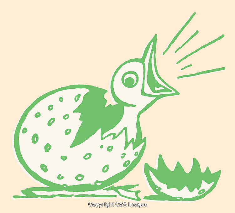 Chirping Baby Bird Hatching From a Colorful Egg Line Art Illustration