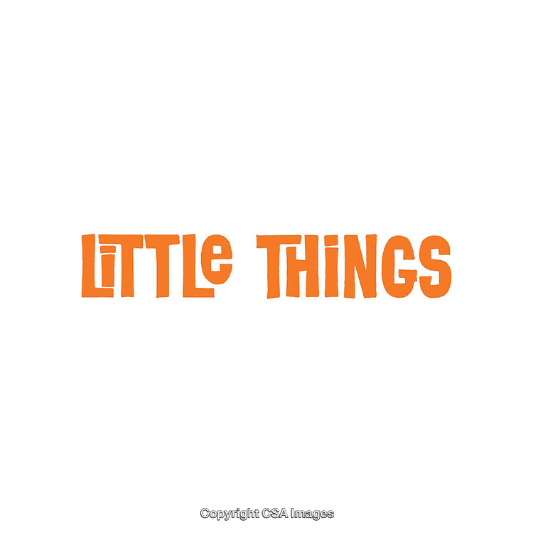 Bold Orange Typography Spelling 'Little Things' on White Background