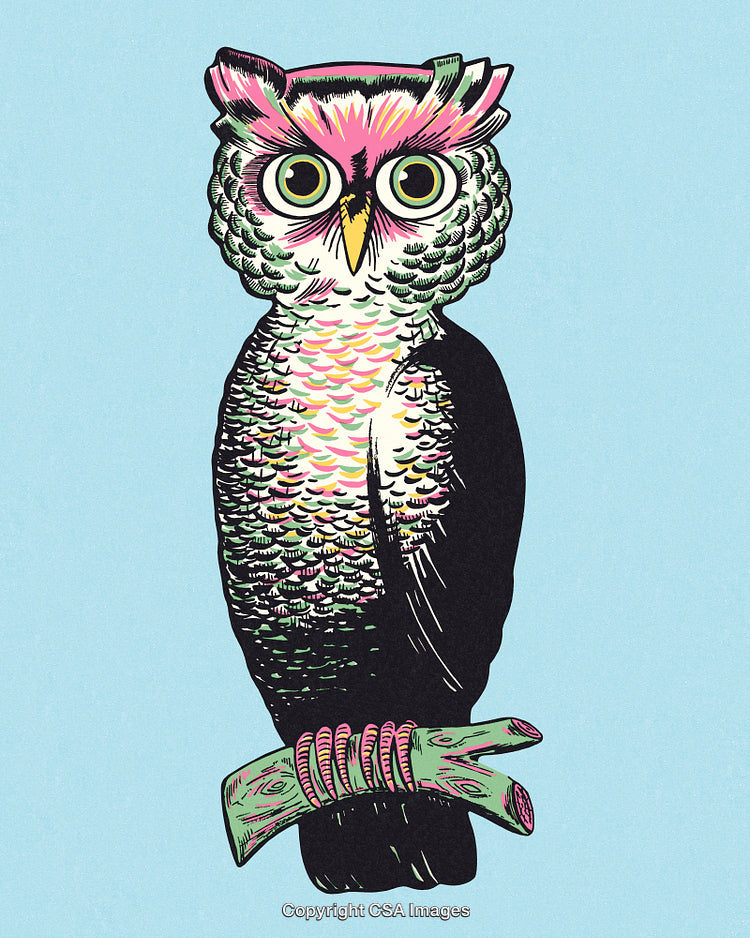Colorful Owl Illustration with Vibrant Patterns on Blue Background
