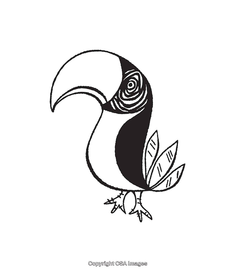 Black and White Line Art Illustration of a Toucan Bird Design