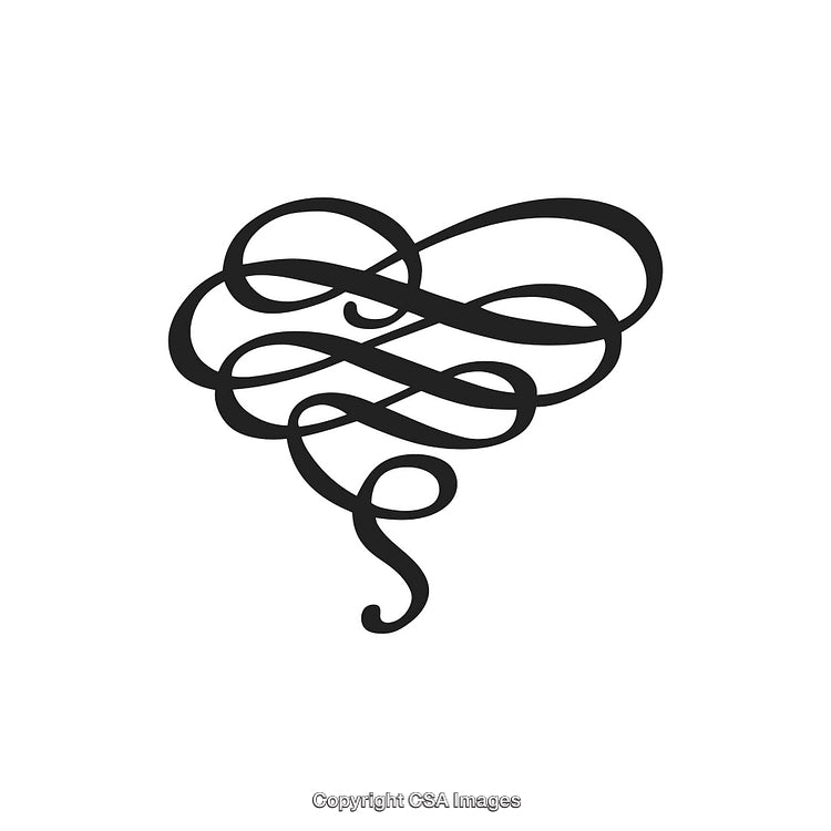 Black and White Decorative Calligraphic Ornament with Elegant Swirls