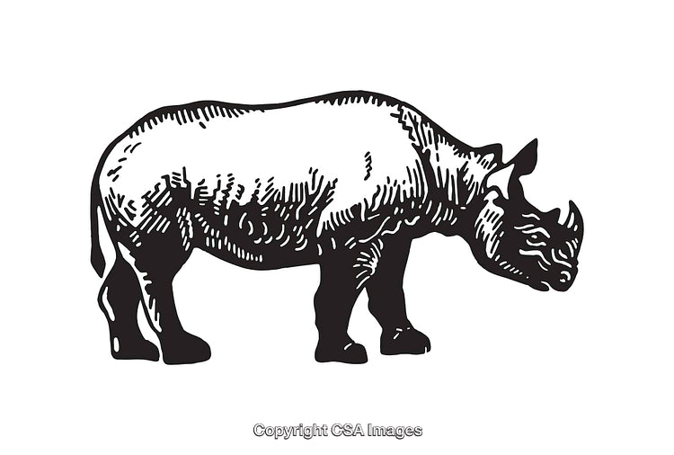 Black and White Line Art Illustration of a Rhino Facing Left