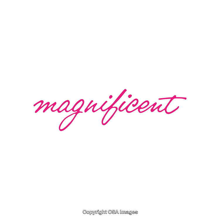 Magnificent Handwritten Script in Pink on White Background