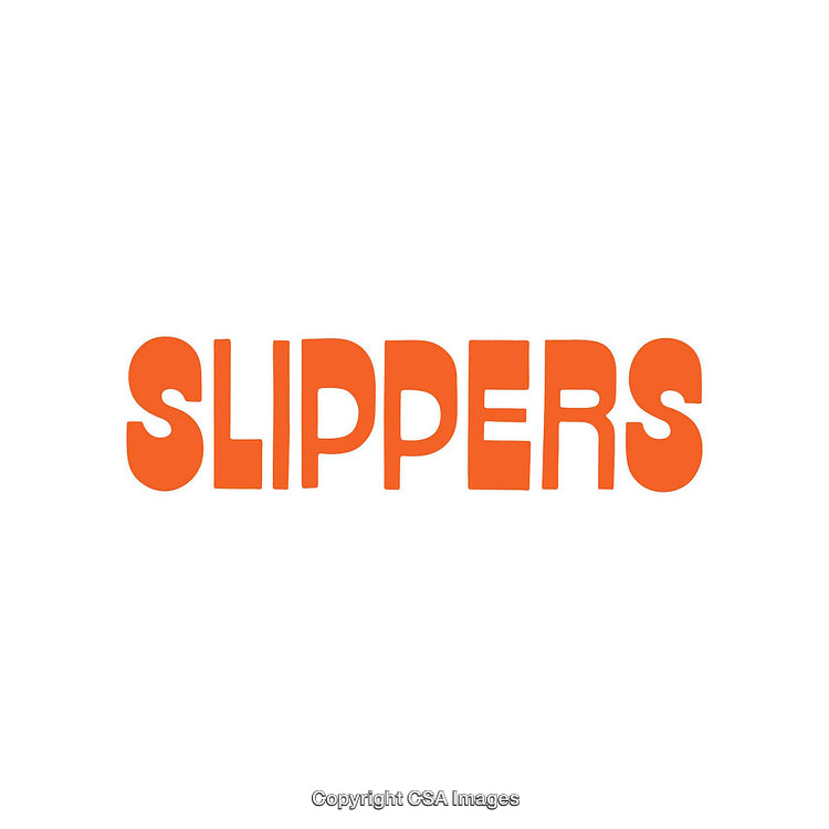 Bright Orange Slippers Text Logo On a Clean White Background